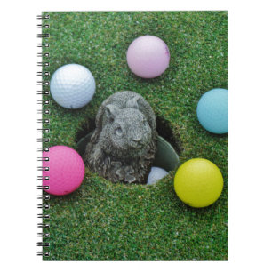 DSCF0698.JPG NOTEBOOK