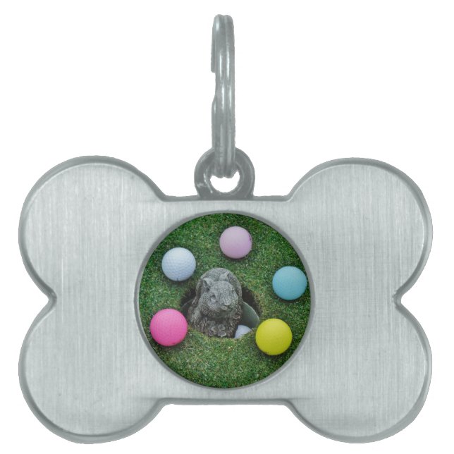 DSCF0698.JPG PET TAG (Front)