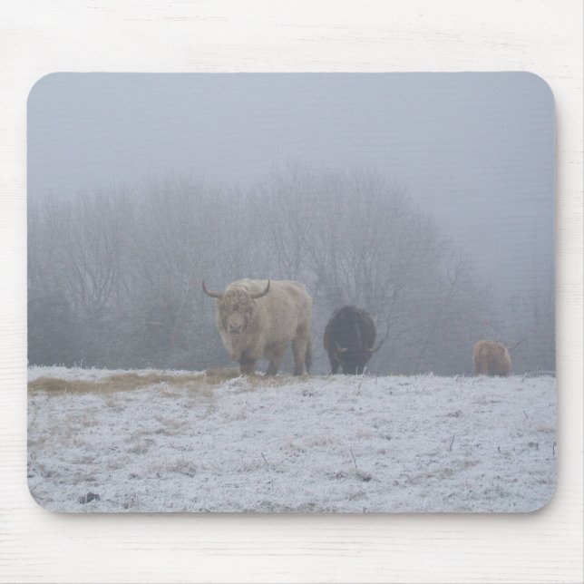 DSCF0832 Winter Trek Mouse Pad (Front)