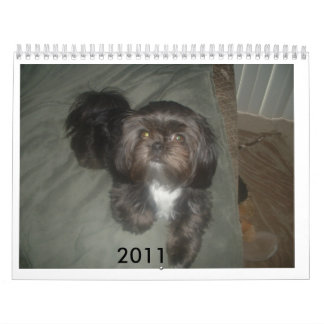 DSCF1937,                             2011 CALENDAR