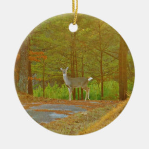 DSCF4041.JPG CERAMIC ORNAMENT