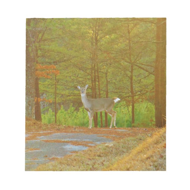 DSCF4041.JPG NOTEPAD (Front)