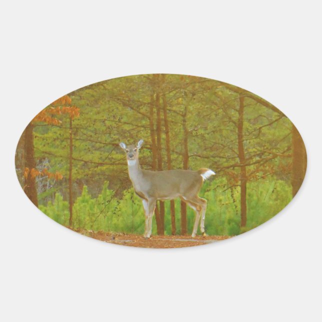 DSCF4041.JPG OVAL STICKER (Front)