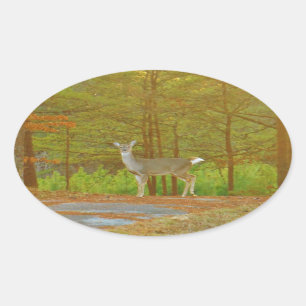 DSCF4041.JPG OVAL STICKER