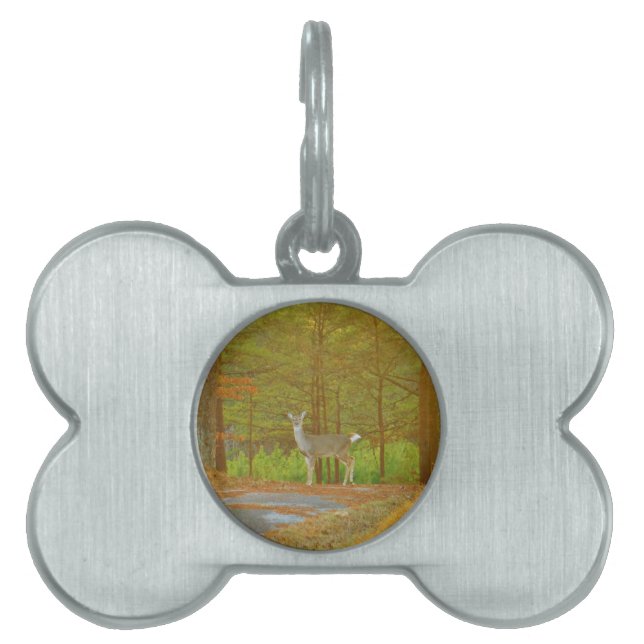 DSCF4041.JPG PET NAME TAG (Front)