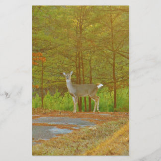 DSCF4041.JPG STATIONERY