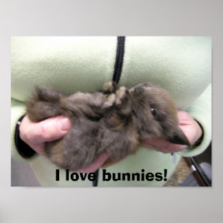 DSCN0356, I love bunnies! Poster