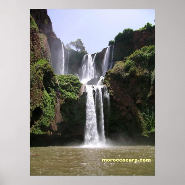 DSCN9348, moroccocarp.com Poster (Front)