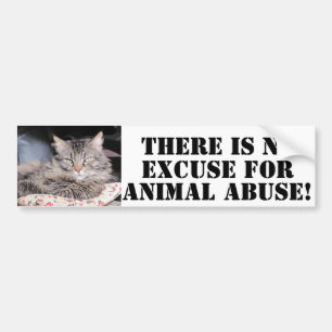 Dsy NO To Animal Abuse Bumper Sticker
