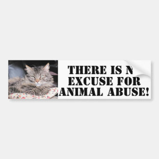 Dsy NO To Animal Abuse Bumper Sticker