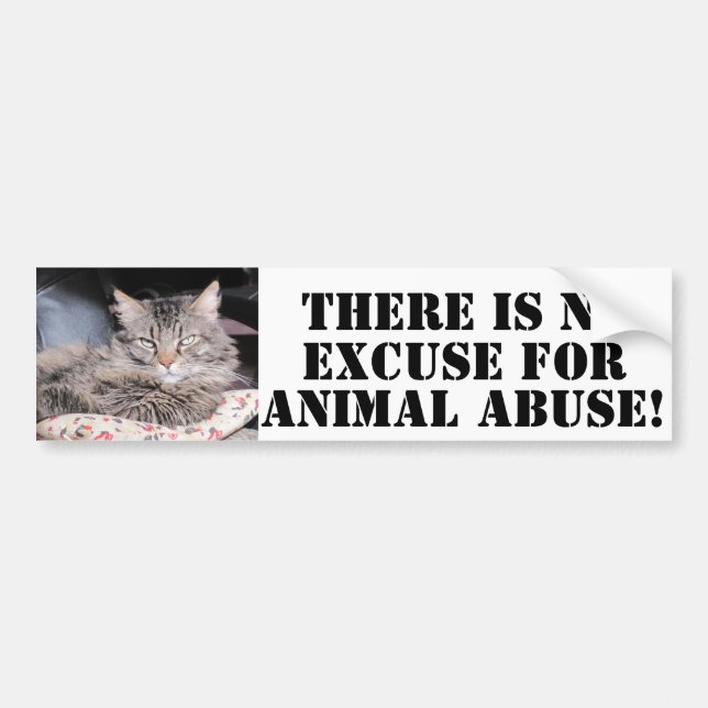 Dsy NO To Animal Abuse Bumper Sticker (Front)