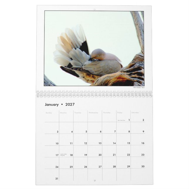 DU 2010 Photography Group Calendar (Jan 2027)