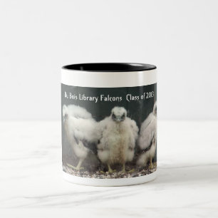 Du Bois Falcons Mug 2013