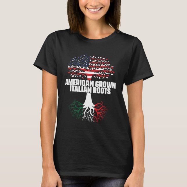 Dual Citizenship America Italy Flag Roots Italian  T-Shirt (Front)