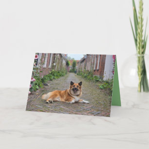 Dual greeting card