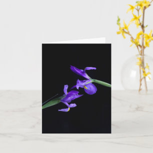 Dual Iris Greeting Card