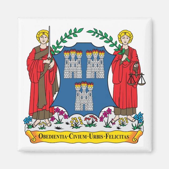 Dublin Coat of Arms Magnet (Front)