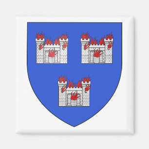 Dublin Coat of Arms Magnet
