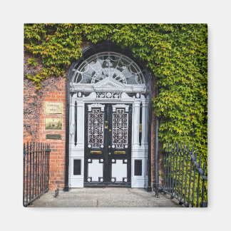 Dublin Georgian Door Magnet