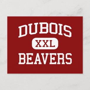DuBois - Beavers - Area - DuBois Pennsylvania Postcard