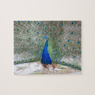 Dubrovnik,Croatia,Lokrum Island,colourful Jigsaw Puzzle