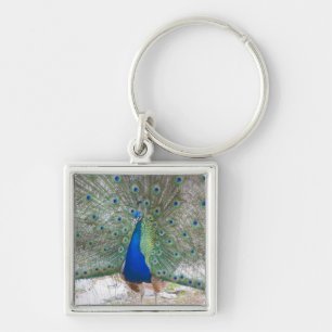 Dubrovnik,Croatia,Lokrum Island,colourful Key Ring