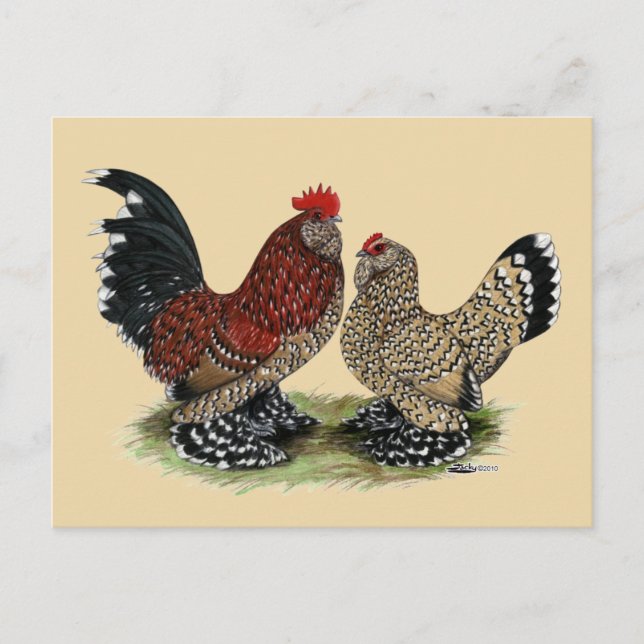 D'Uccle Bantams:  Mille Fleur Postcard (Front)