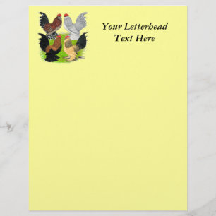 D'Uccles Four Roosters