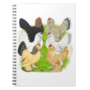 D'Uccles Six Hens Notebook