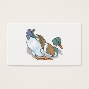 Duck