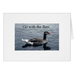 duck3