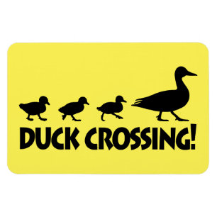 Duck and Ducklings: Duck Crossing Magnet