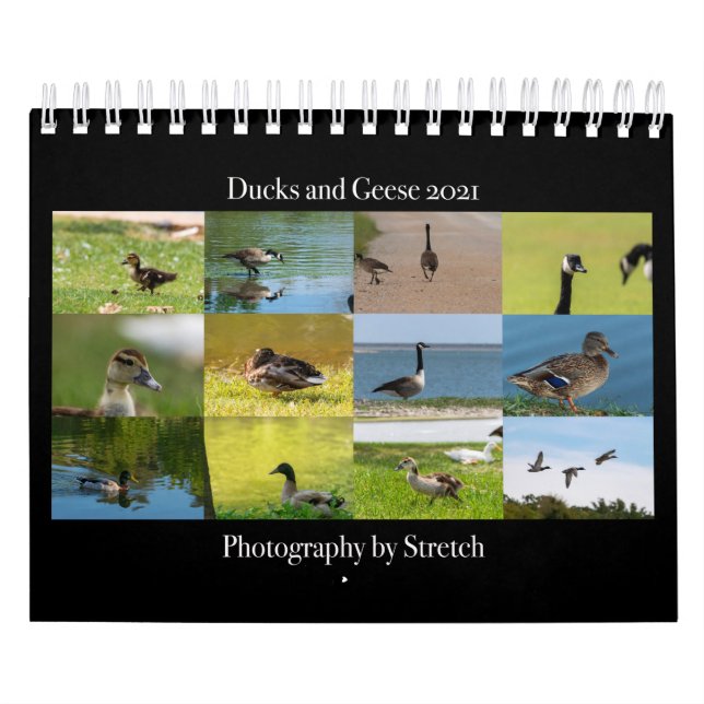 Duck and Geese Photography 2021 Calendar (Cover)