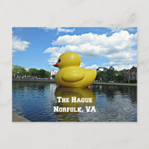 Duck at The Hague, Norfolk, VA Postcard