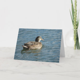 Duck At The Park Card