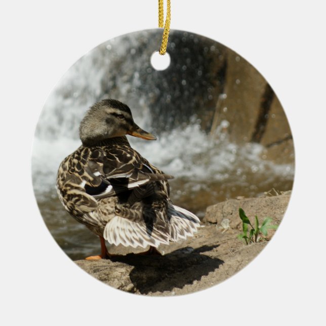 DUCK AT WATERFALL ORNAMENT (Front)