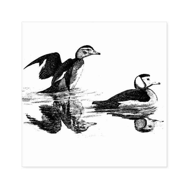 Duck Birds Wildlife Animal Wood Stamp (Imprint)