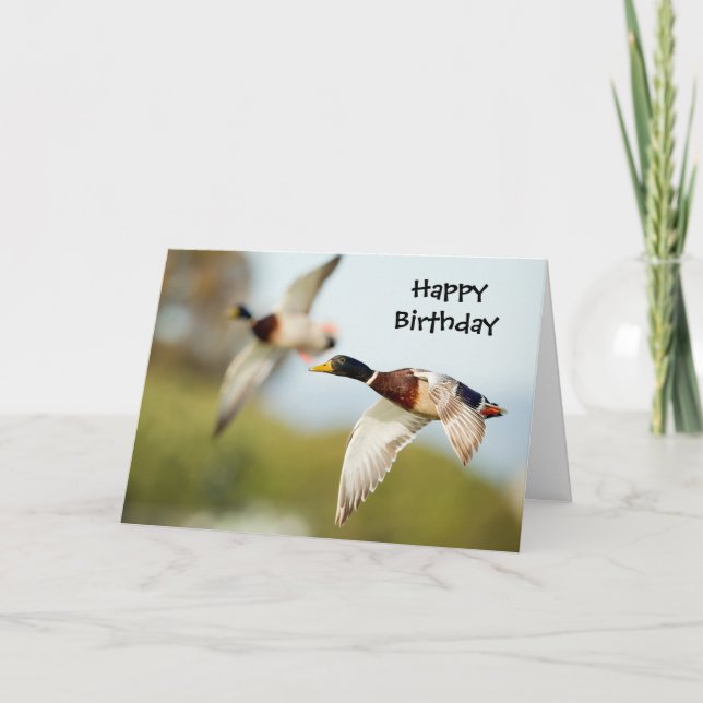 Duck Birthday Card (or any Occasion) (Front)