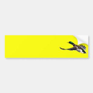 duck bumper sticker