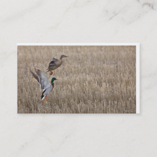 Duck Business Card