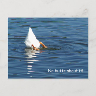Duck Butt Humour Post Card