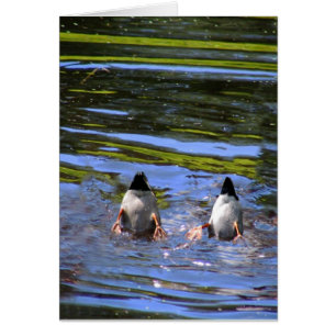 Duck Butts