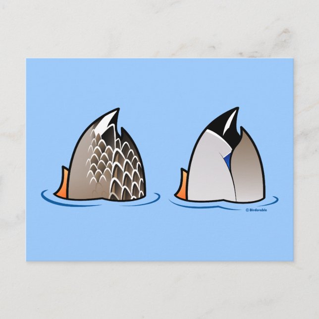 Duck Butts Postcard (Front)