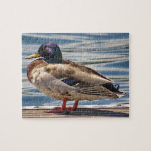 Duck By The Sea Jigsaw Puzzle