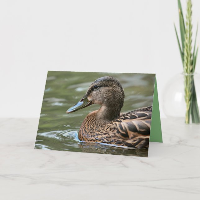 Duck Card (Front)