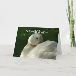 Duck Card