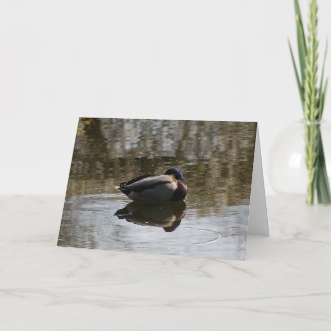 Duck Card (Front)