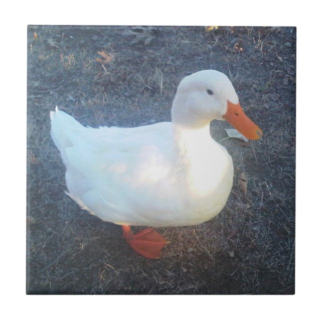 Duck Ceramic Tile (Front)
