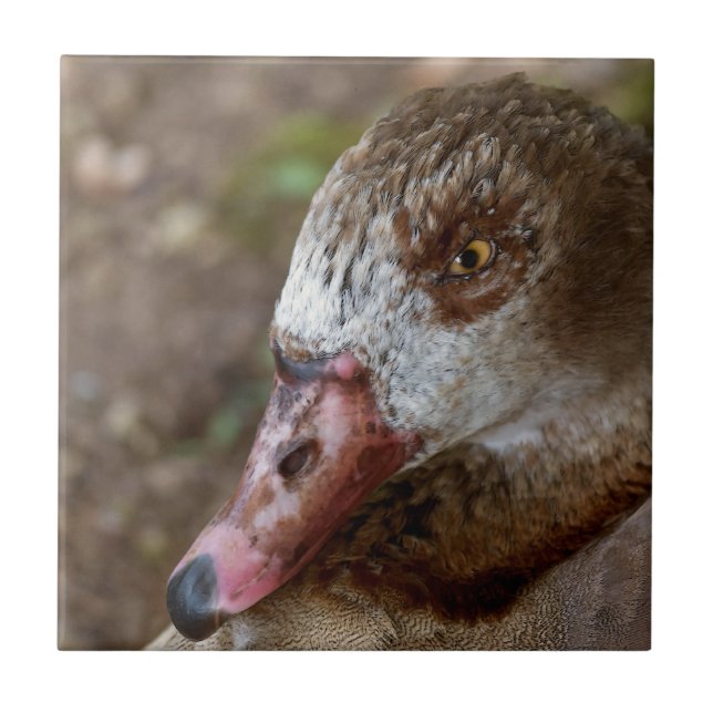 Duck Ceramic Tile (Front)