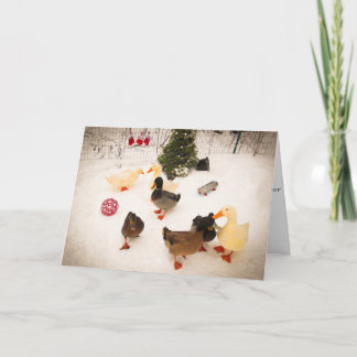 Duck Christmas Party Christmas Card